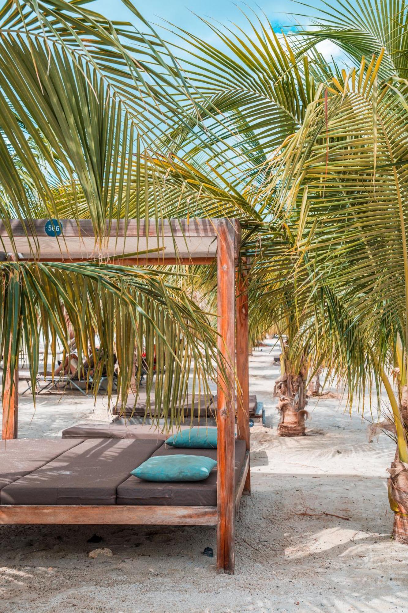 Chogogo Dive & Beach Resort Bonaire Kralendijk  Exterior photo