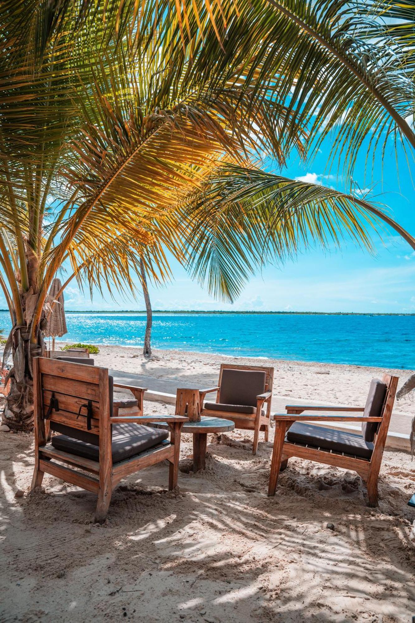 Chogogo Dive & Beach Resort Bonaire Kralendijk  Exterior photo